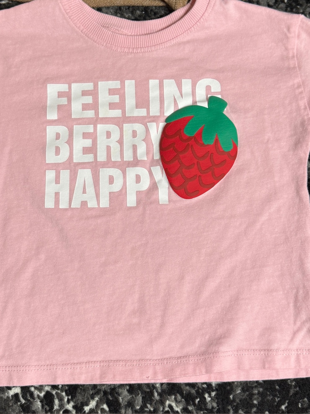 ZARA “Feeling Berry Happy” toddler T-shirt